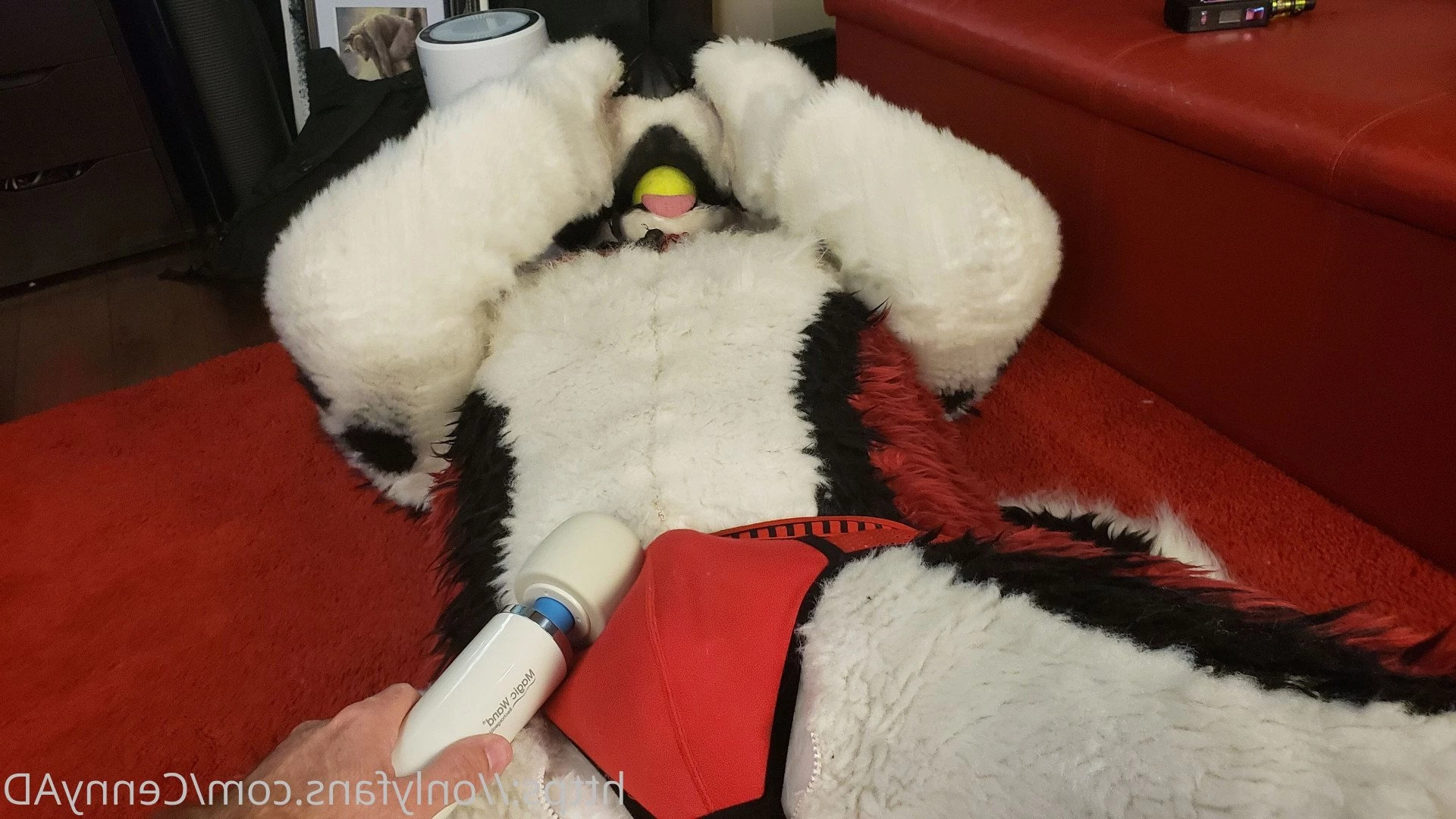 Cenny After Bark 💄 [ cennyad ] Onlyfans leaked photo 3621435 on Hotleaks.tv