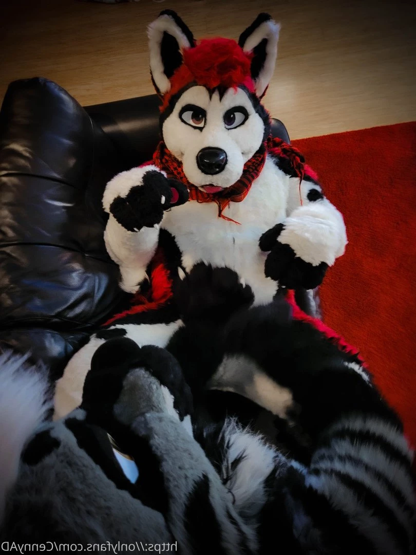 Cenny After Bark 💄 [ cennyad ] Onlyfans leaked photo 3621975 on Hotleaks.tv