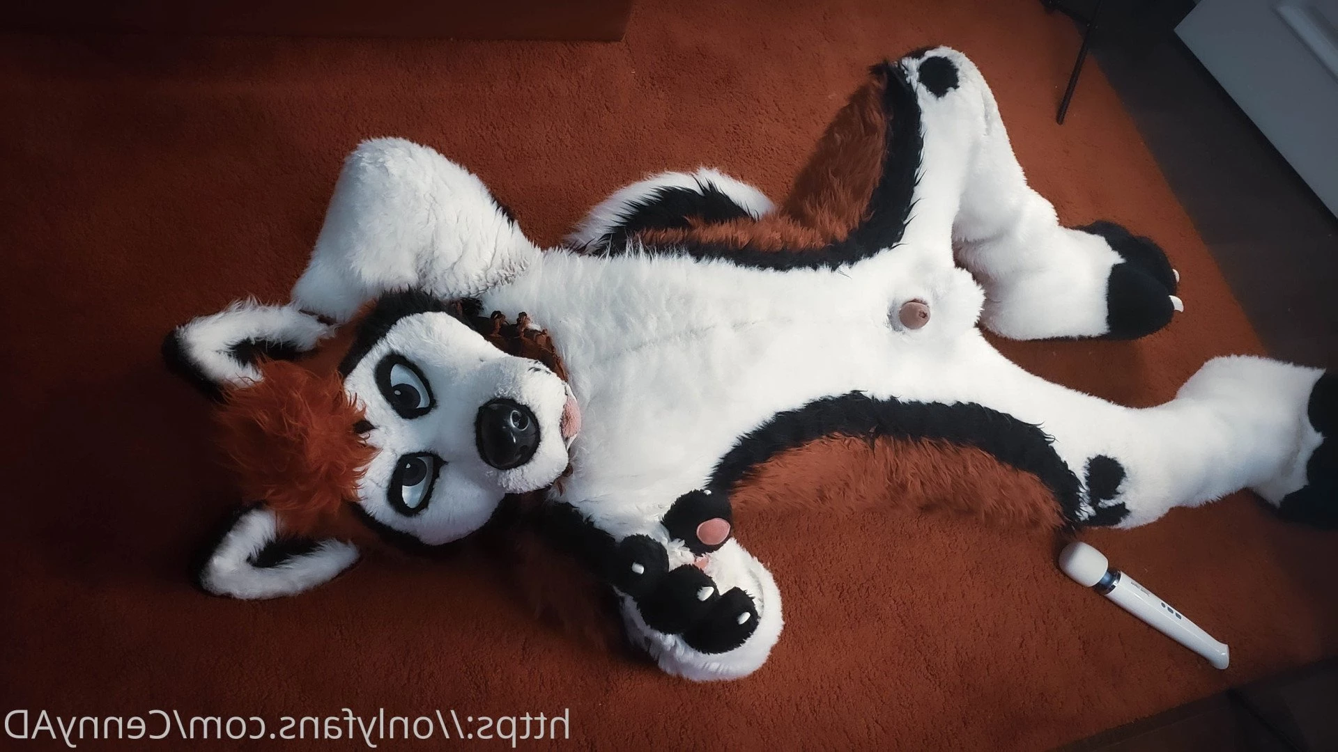 Cenny After Bark 💄 [ cennyad ] Onlyfans leaked photo 3622063 on Hotleaks.tv