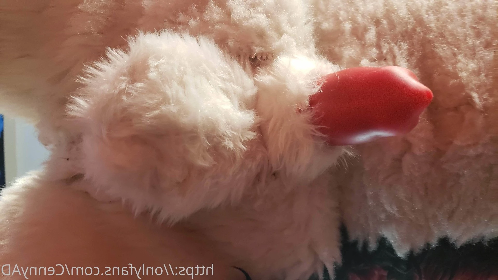 Cenny After Bark 💄 [ cennyad ] Onlyfans leaked photo 3622260 on Hotleaks.tv