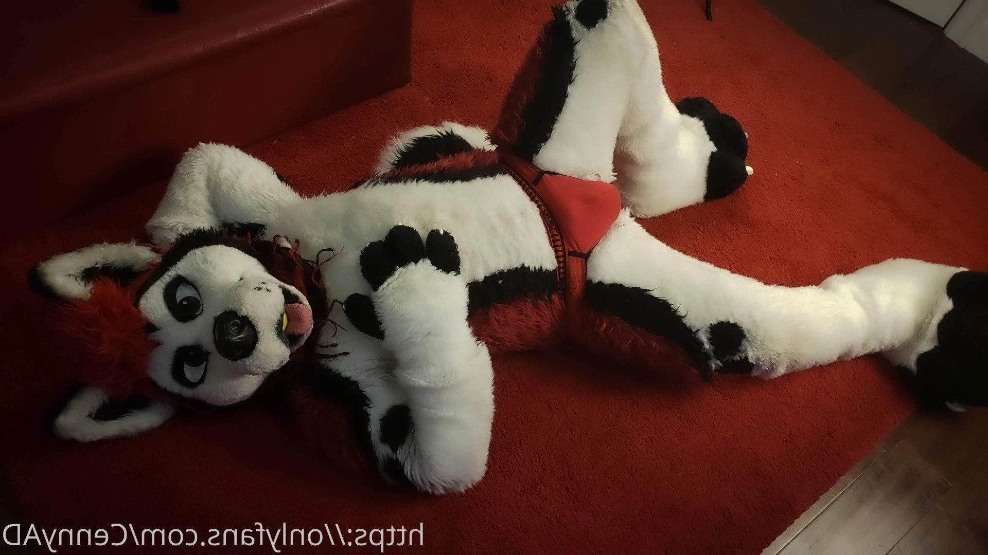 Cenny After Bark 💄 [ cennyad ] Onlyfans leaked photo 3623380 on Hotleaks.tv