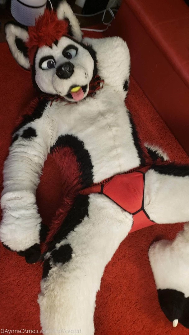Cenny After Bark 💄 [ cennyad ] Onlyfans leaked photo 3623579 on Hotleaks.tv