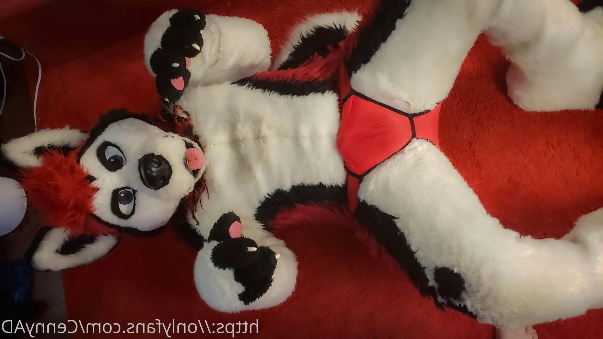 Cenny After Bark 💄 [ cennyad ] Onlyfans leaked photo 3623987 on Hotleaks.tv