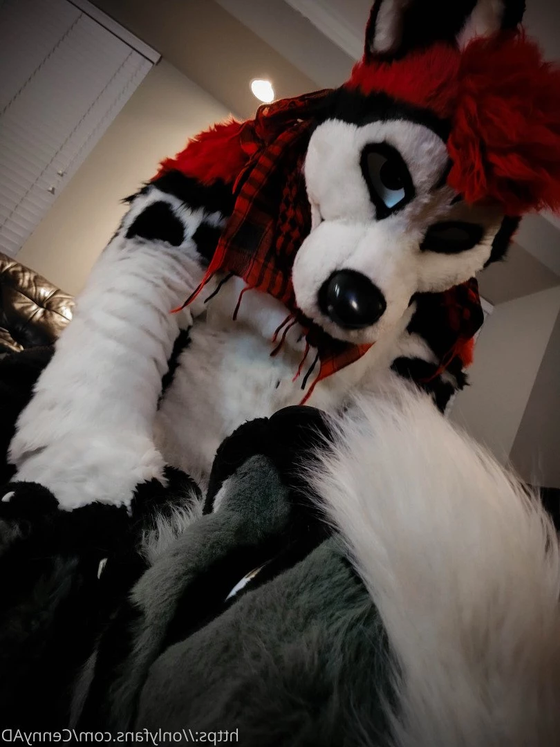 Cenny After Bark 💄 [ cennyad ] Onlyfans leaked photo 3624490 on Hotleaks.tv