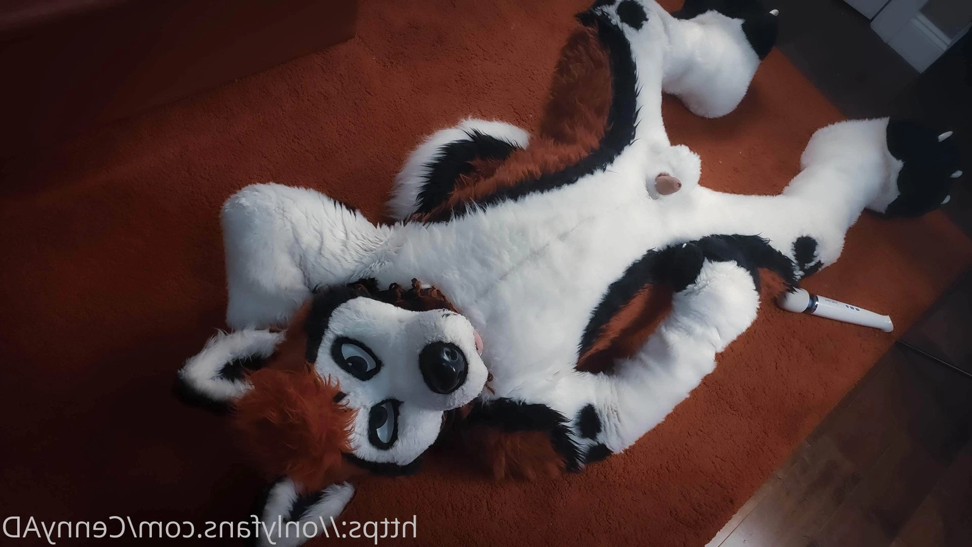 Cenny After Bark 💄 [ cennyad ] Onlyfans leaked photo 3625010 on Hotleaks.tv