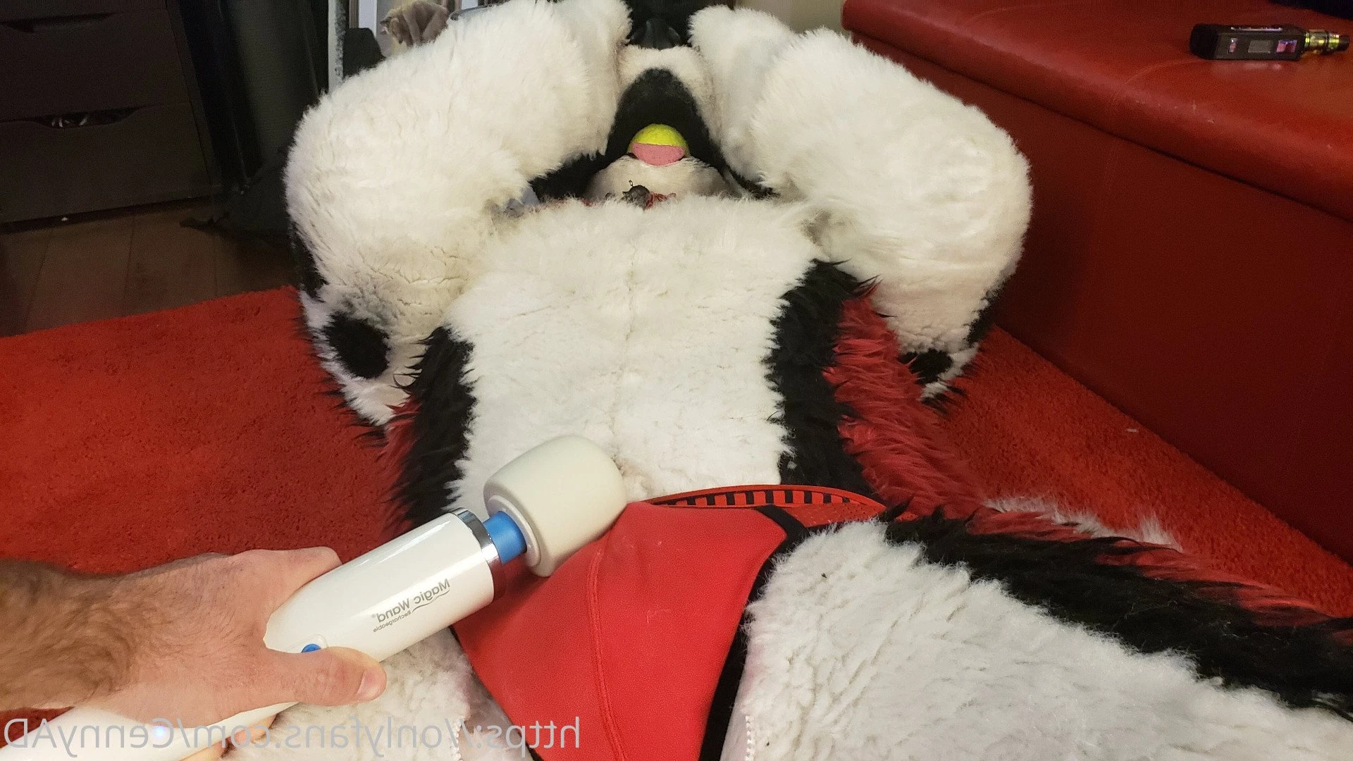 Cenny After Bark 💄 [ cennyad ] Onlyfans leaked photo 3625217 on Hotleaks.tv