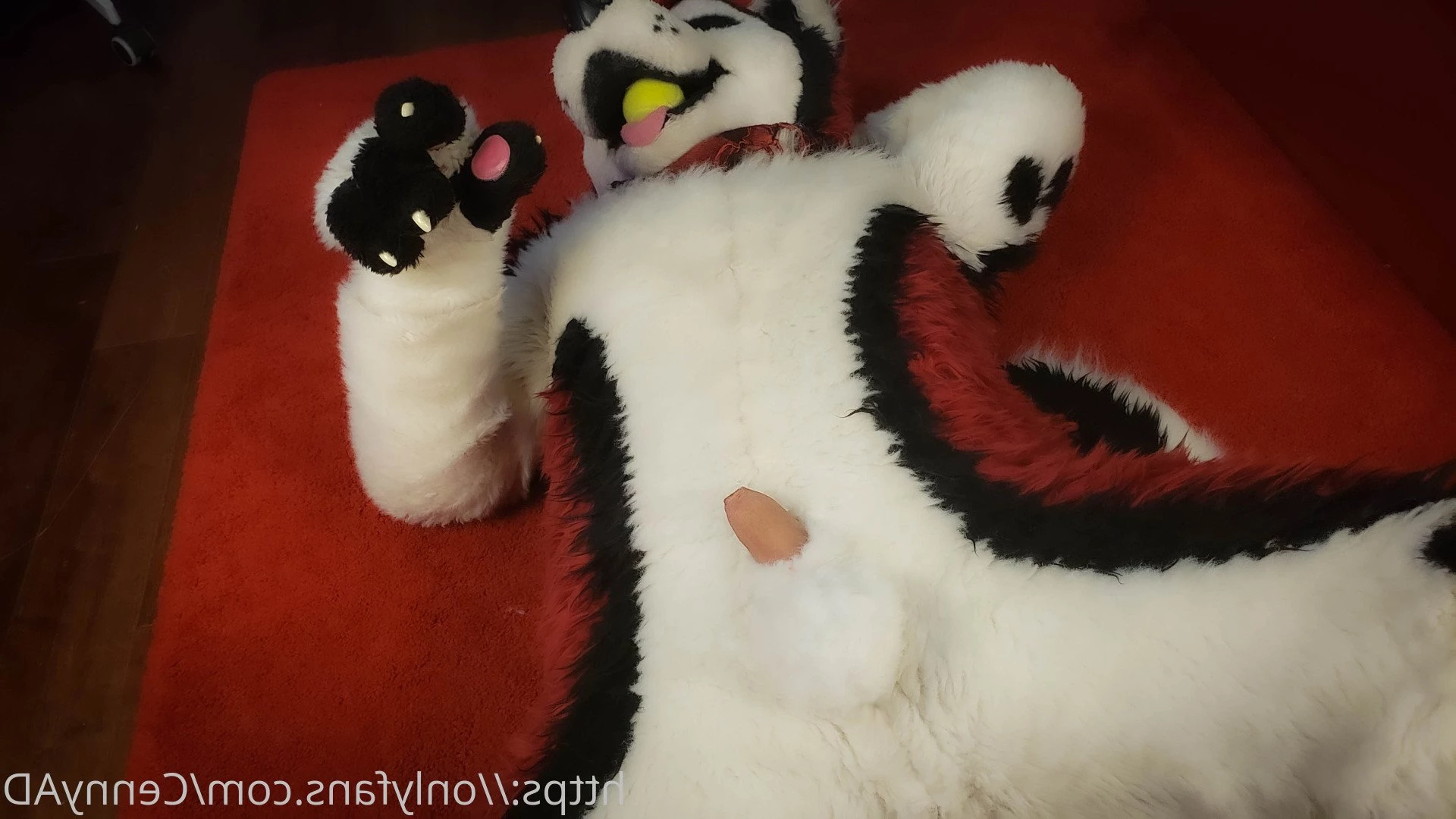 Cenny After Bark 💄 [ cennyad ] Onlyfans leaked photo 3625520 on Hotleaks.tv