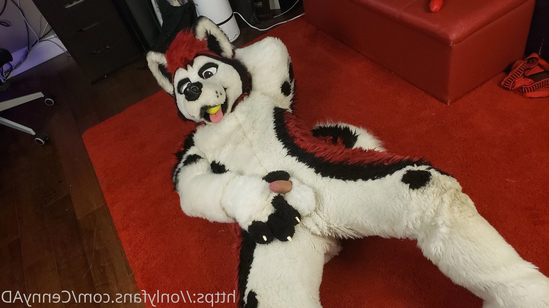 Cenny After Bark 💄 [ cennyad ] Onlyfans leaked photo 3625607 on Hotleaks.tv
