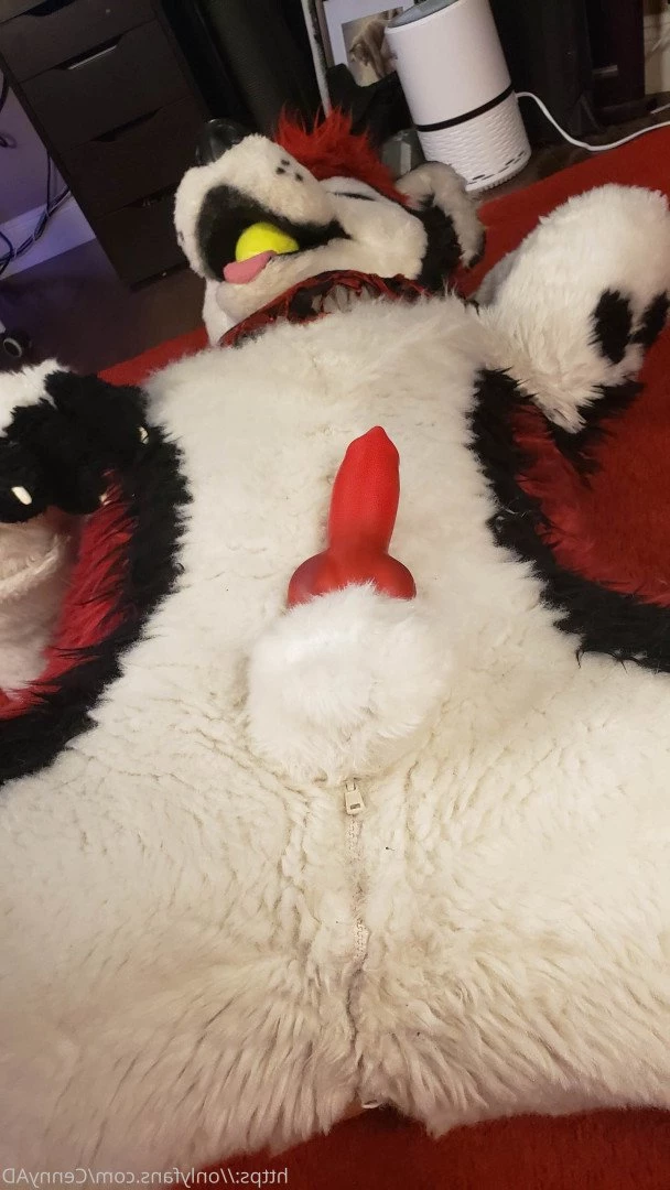 Cenny After Bark 💄 [ cennyad ] Onlyfans leaked photo 3625977 on Hotleaks.tv