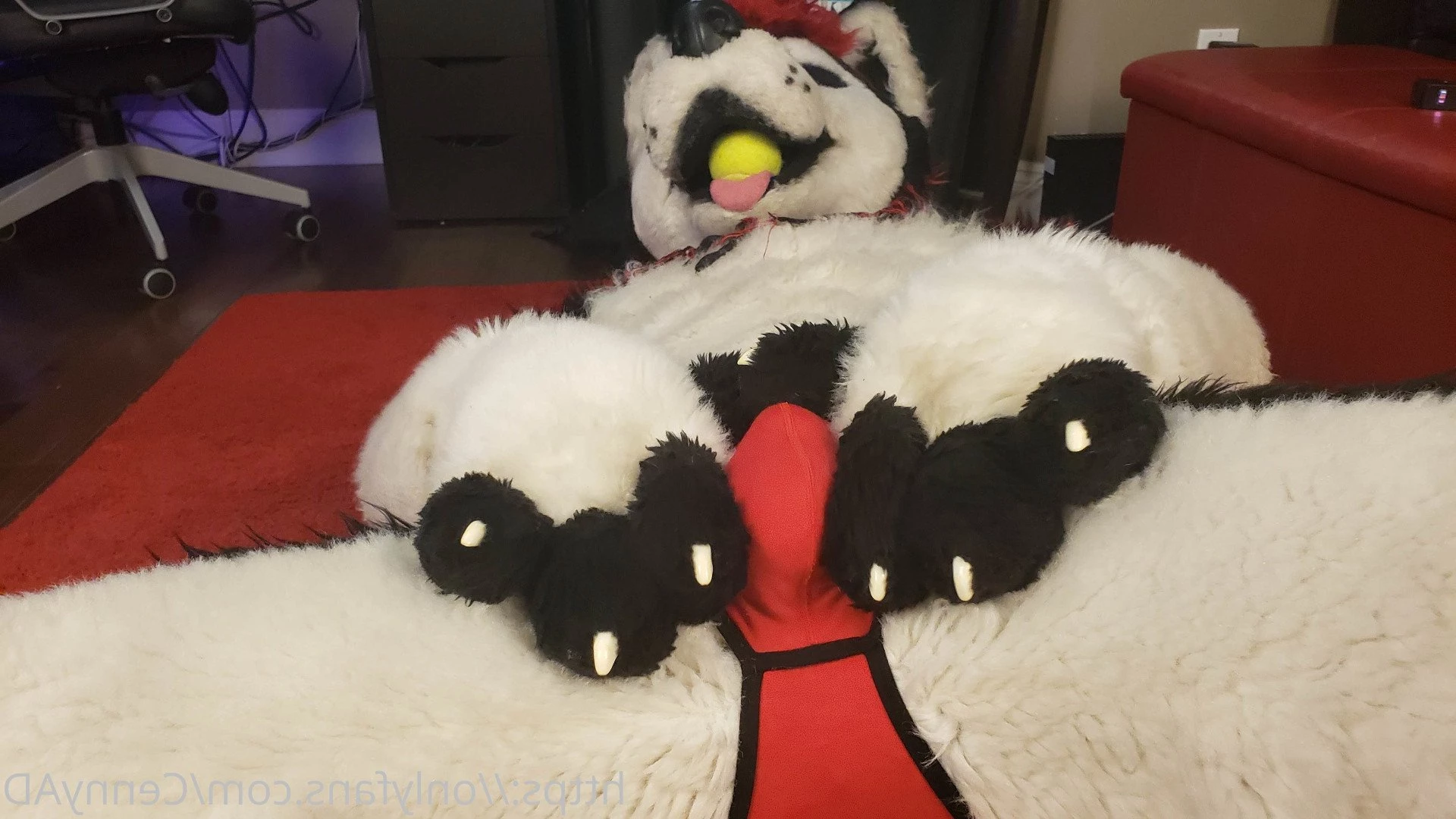Cenny After Bark 💄 [ cennyad ] Onlyfans leaked photo 3626275 on Hotleaks.tv