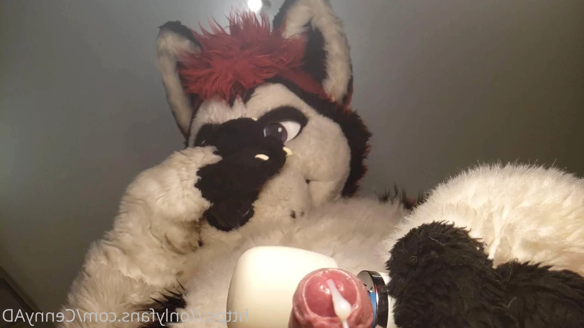 Cenny After Bark 💄 [ cennyad ] Onlyfans leaked photo 3626935 on Hotleaks.tv