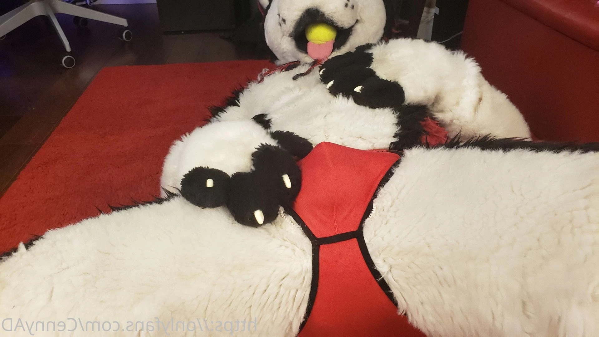 Cenny After Bark 💄 [ cennyad ] Onlyfans leaked photo 3627890 on Hotleaks.tv