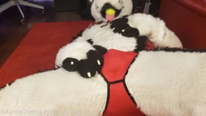 3627890