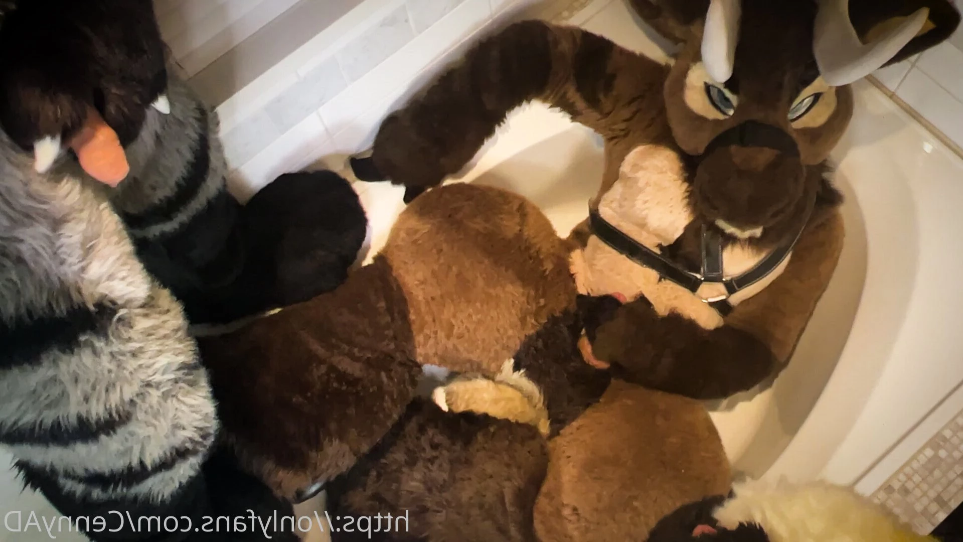 Cenny After Bark 💄 [ cennyad ] Onlyfans leaked photo 3628020 on Hotleaks.tv