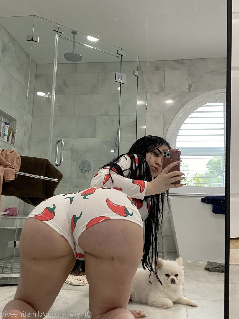 Christine 😉 [ christineevip ] Onlyfans leaked photo 255641 on Hotleaks.tv