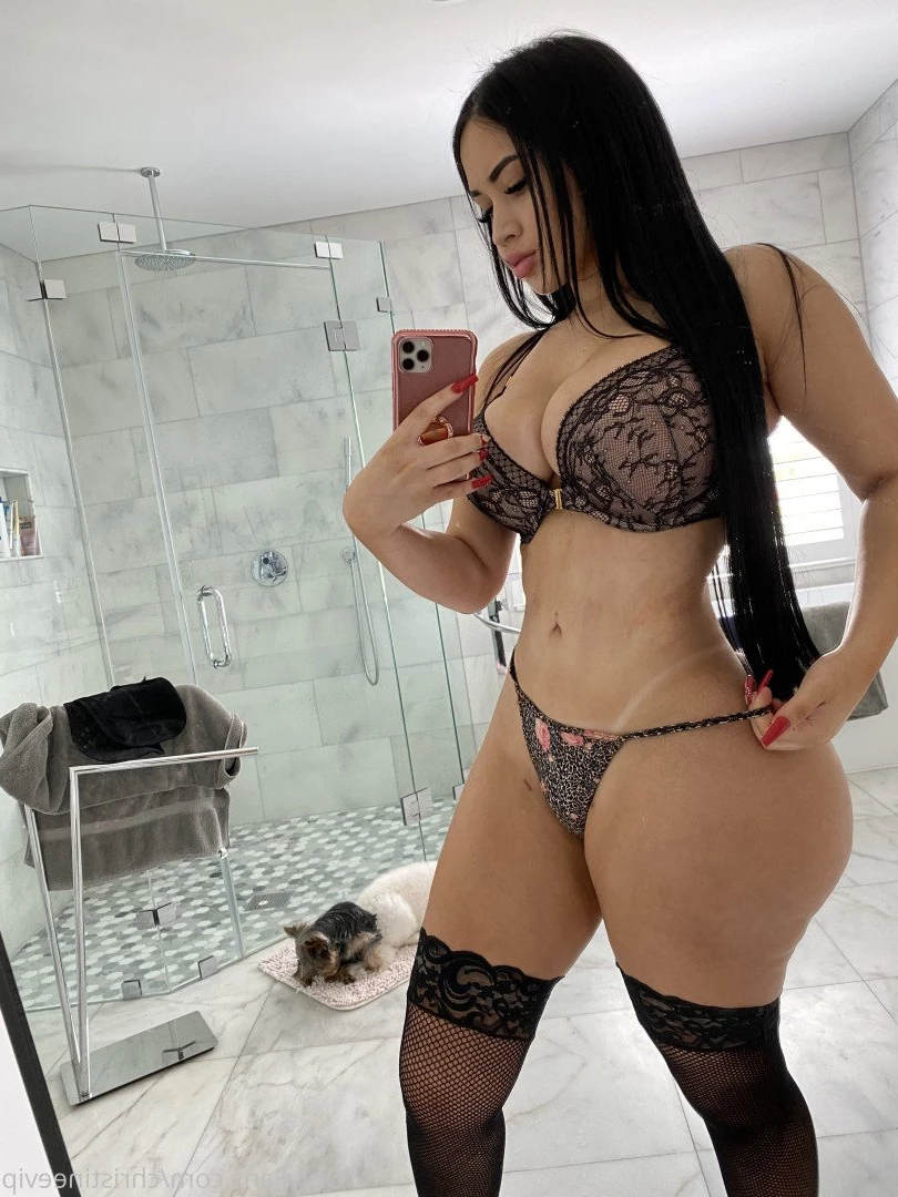 Christine 😉 [ christineevip ] Onlyfans leaked photo 255841 on Hotleaks.tv
