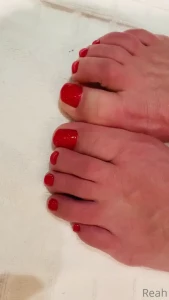 15906298