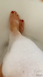 15906394