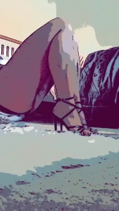 15906630