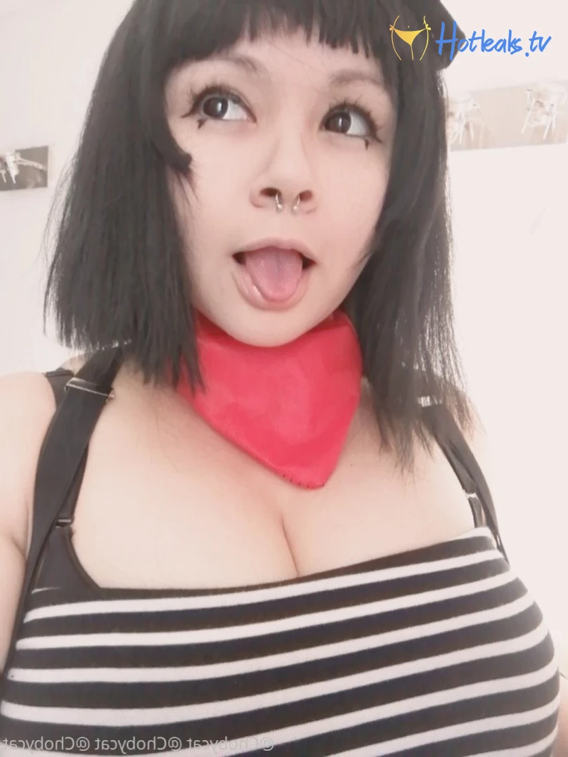 Choby cat✨ [ chobycat ] Onlyfans leaked photo 3590844 on Hotleaks.tv