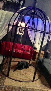 Christina Carter [ christinacarter ] Onlyfans leaked video 3237529 on Hotleaks.tv