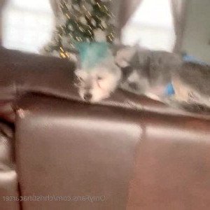 Christina Carter [ christinacarter ] Onlyfans leaked video 3238973 on Hotleaks.tv