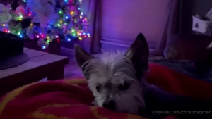 Christina Carter [ christinacarter ] Onlyfans leaked video 16230317 on Hotleaks.tv