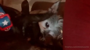 Christina Carter [ christinacarter ] Onlyfans leaked video 16347381 on Hotleaks.tv
