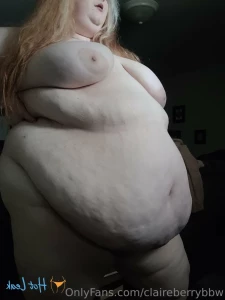 16152743