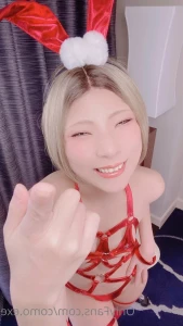 3616116