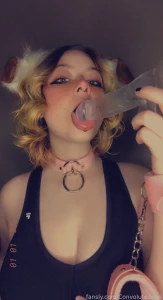 18495877