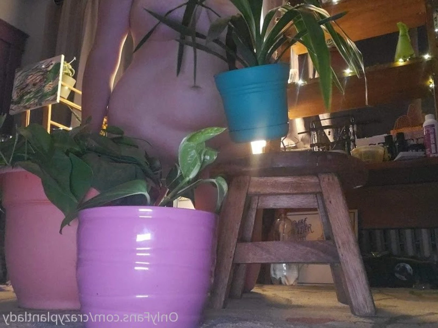 crazyplantlady Onlyfans leaked photo 7614024 on Hotleaks.tv