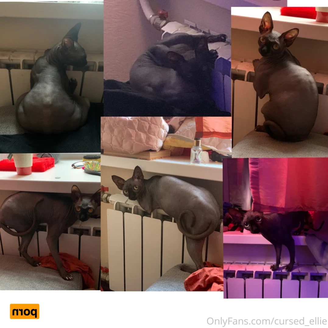 Cursed Ellie 💌 [ cursed_ellie ] Onlyfans leaked photo 16155256 on Hotleaks.tv