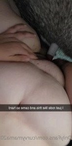 3268017