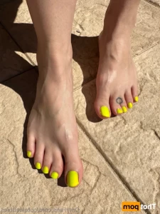 18626632