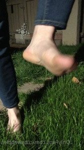 3273434