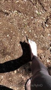 3273435