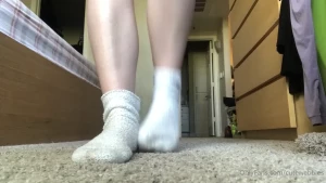 15942584