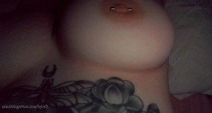 3274147