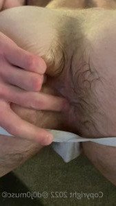 3275881