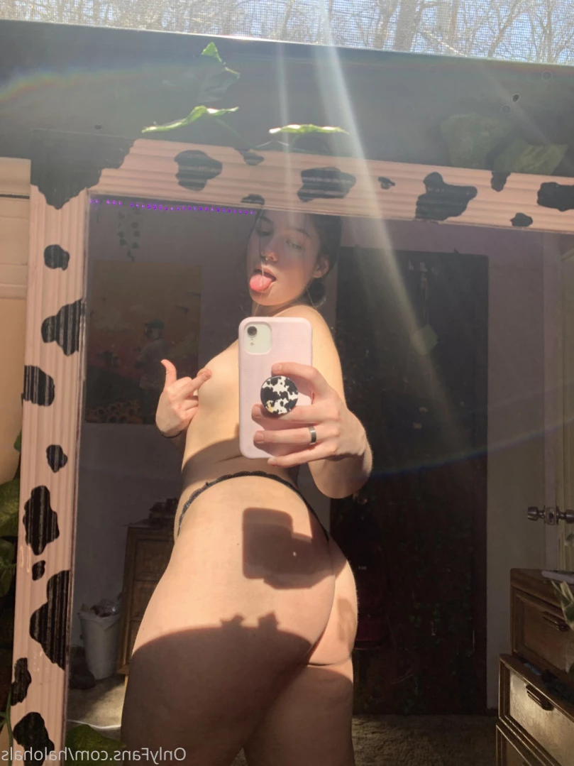 halo 🧸 [ dabofhalo ] Onlyfans leaked photo 12471122 on Hotleaks.tv