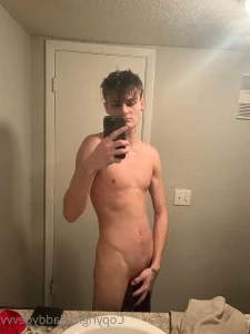 3688116