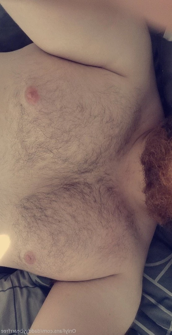 DaddyBear [ daddyybearrfree ] Onlyfans leaked photo 3730178 on Hotleaks.tv