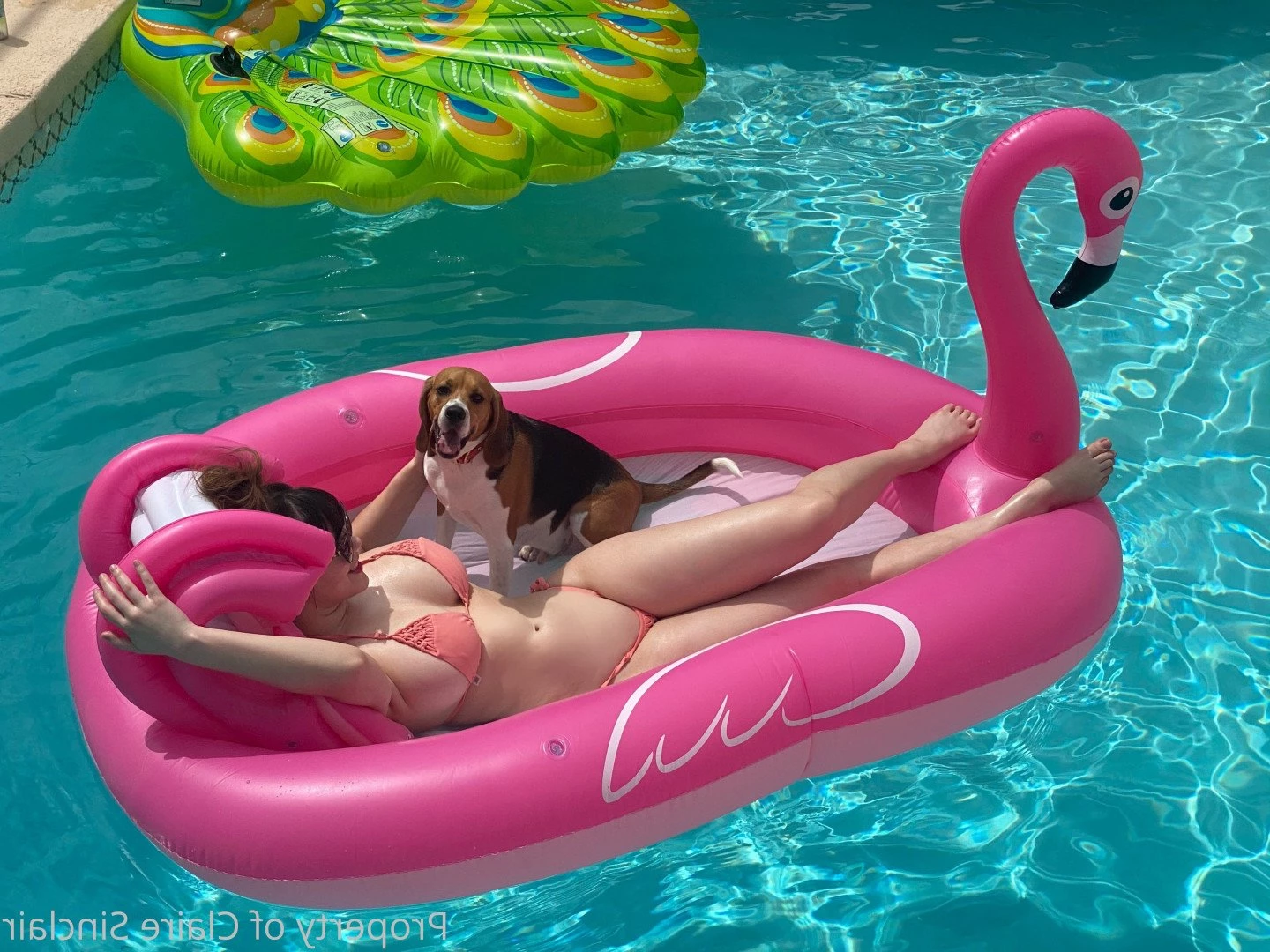 Claire Sinclair [ clairesinclair ] Onlyfans leaked photo 261719 on Hotleaks.tv