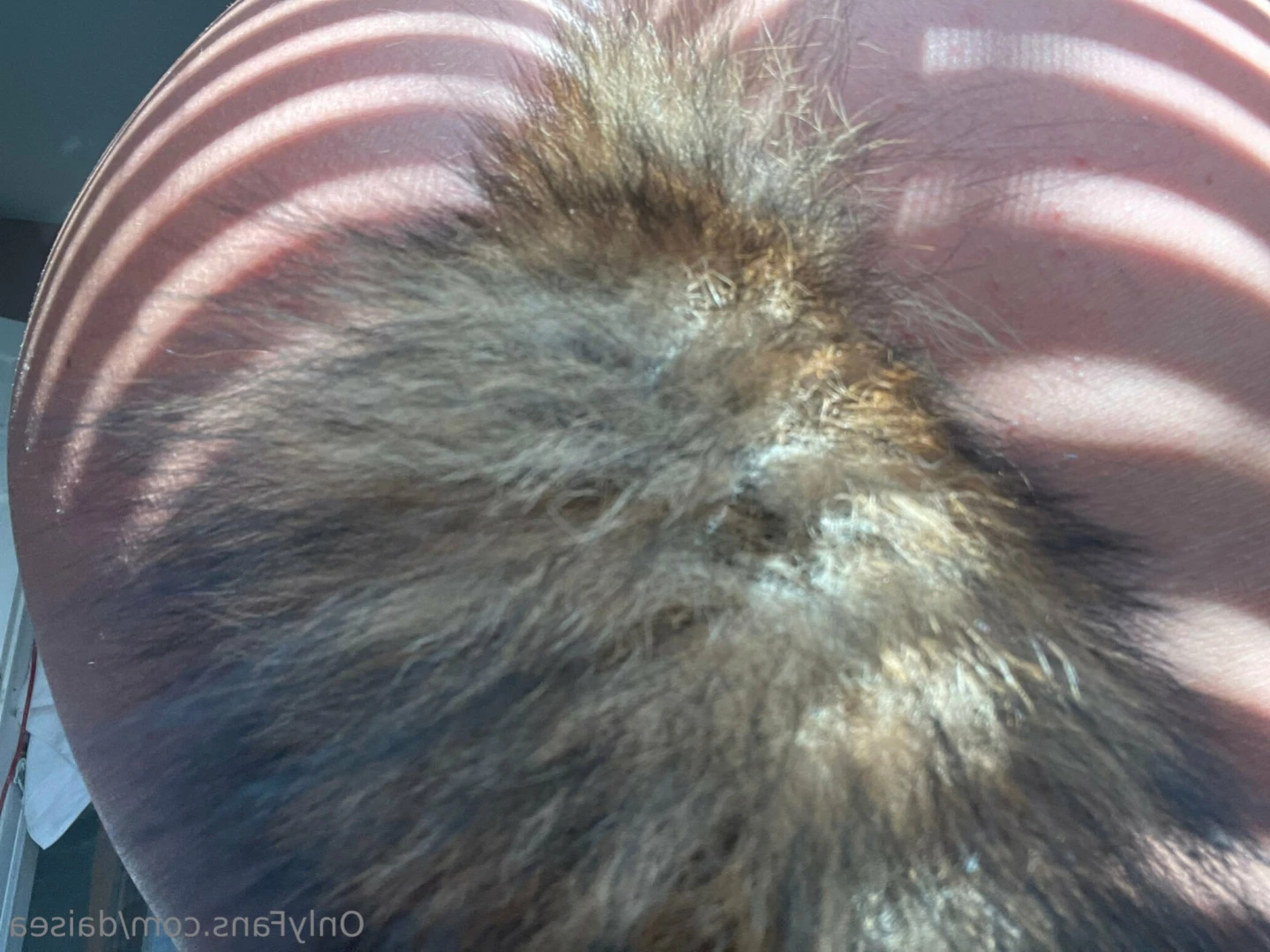 ძᥲіsᥱᥲ- і ᴊᴜsᴛ ɢʀᴀᴅᴜᴀᴛᴇᴅ! FREE OF [ daisea ] Onlyfans leaked photo 13805008 on Hotleaks.tv