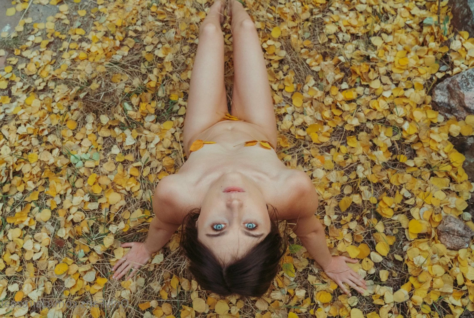 Claire Zeal [ clairezeal ] Onlyfans leaked photo 2114981 on Hotleaks.tv