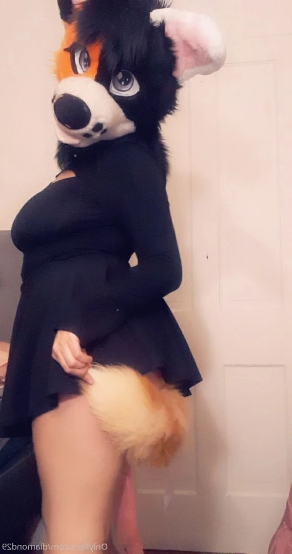 Diamondlove666 [ ddlove9 ] Onlyfans leaked photo 3244545 on Hotleaks.tv