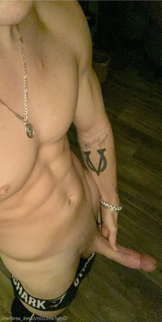 DEEK AESTHETIC [ deek_aesthetic ] Onlyfans leaked photo 3746566 on Hotleaks.tv