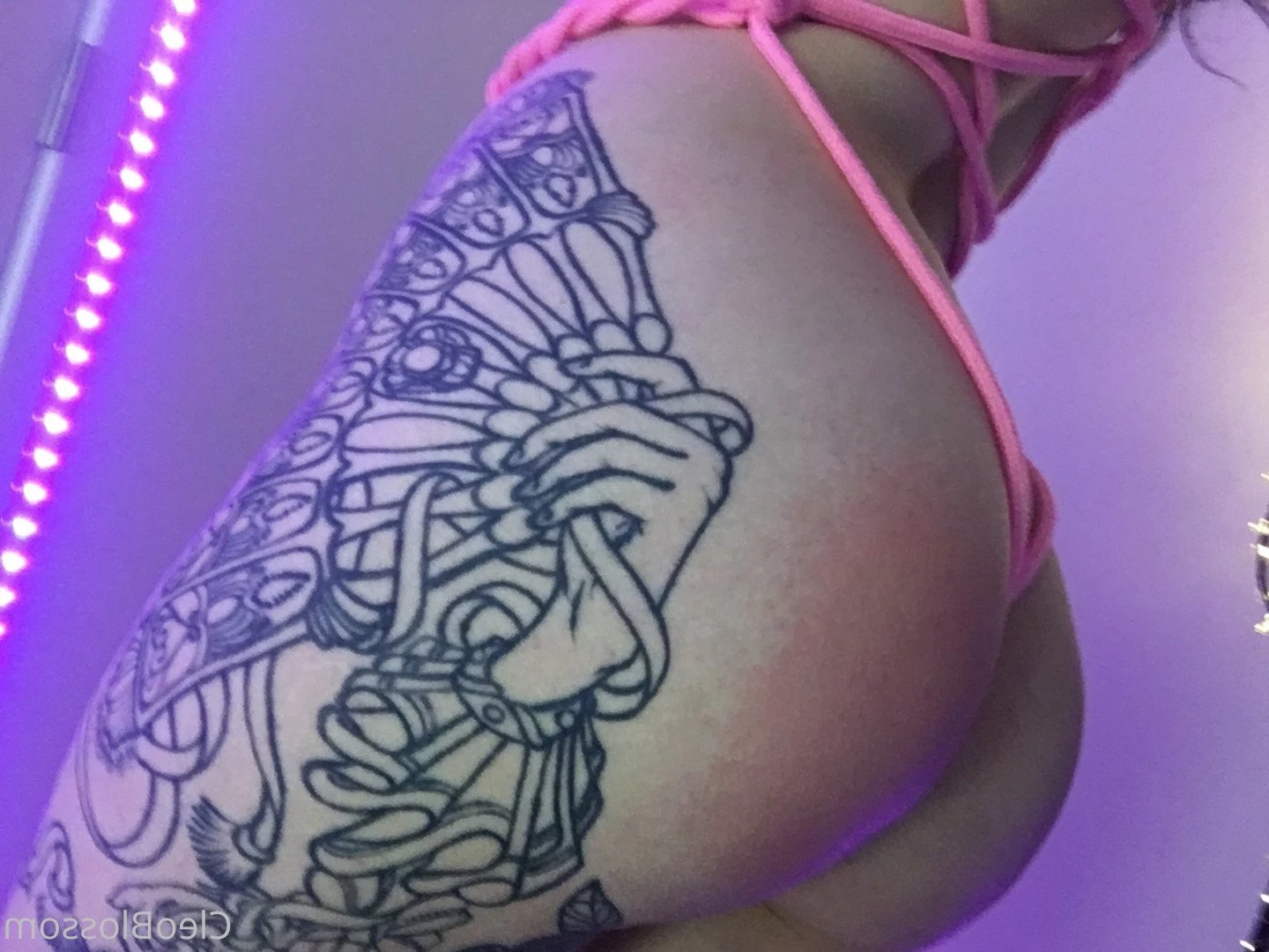 cleo blossom ♡ [ cleoblossom ] Onlyfans leaked photo 264621 on Hotleaks.tv