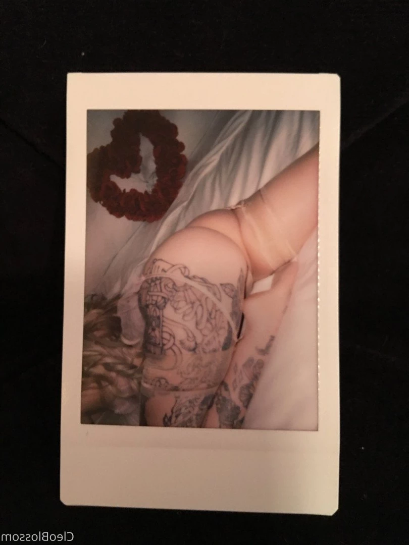 cleo blossom ♡ [ cleoblossom ] Onlyfans leaked photo 264644 on Hotleaks.tv